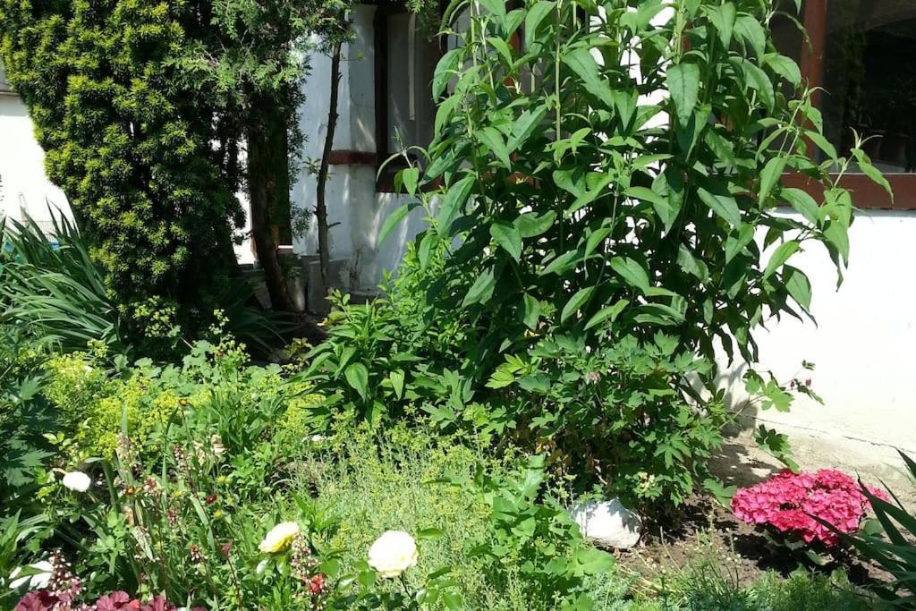 Refugium Ottenthal Exterior photo
