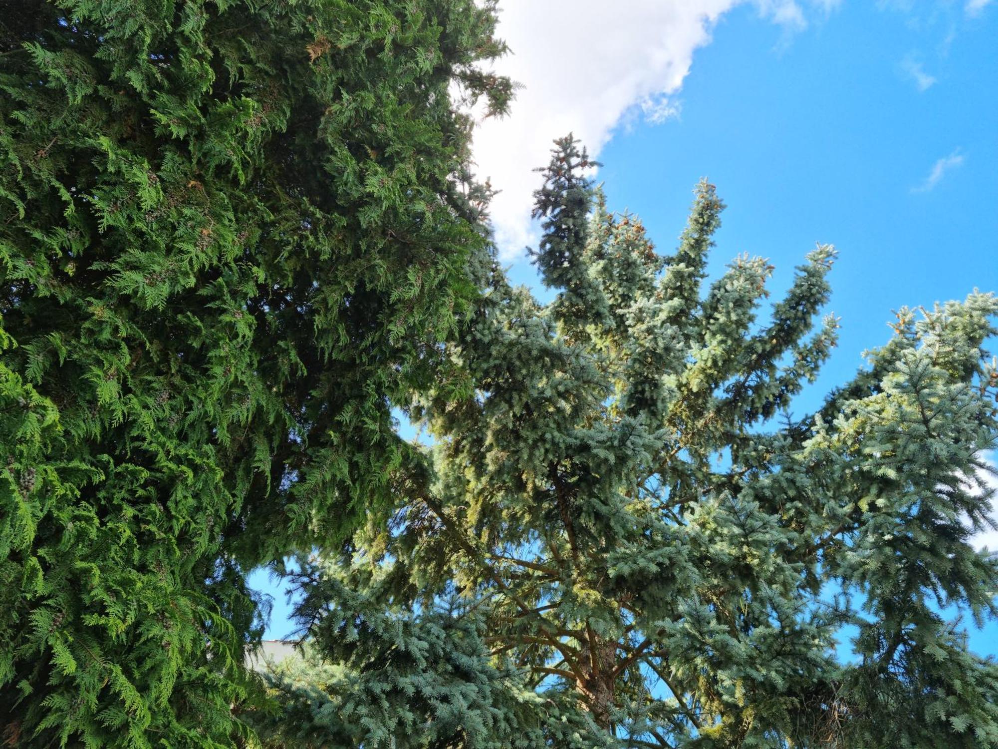 Refugium Ottenthal Exterior photo